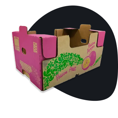 Cajas de Carton